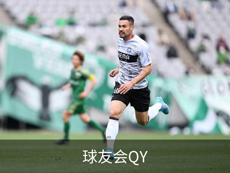 球友会QY概况