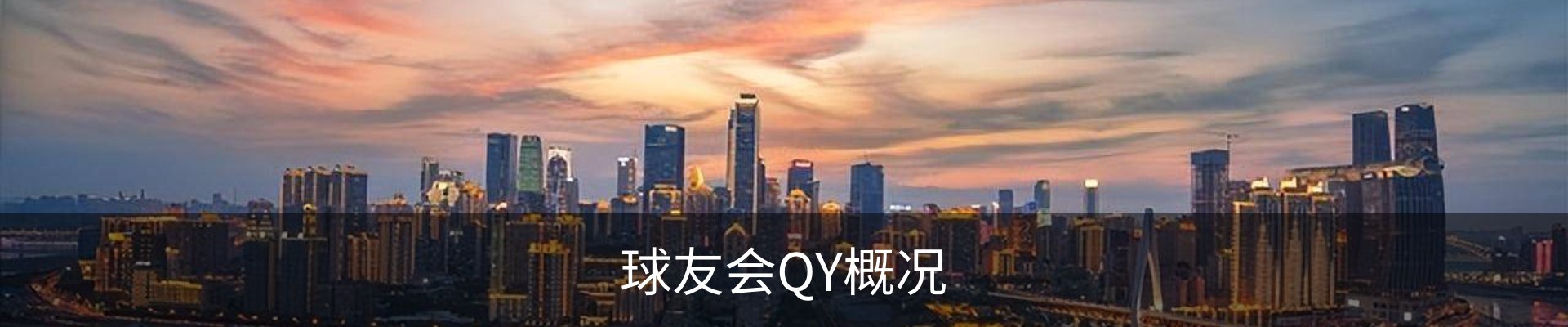球友会QY概况